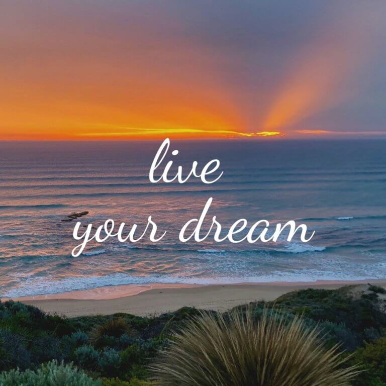 Live Your Dream. Align Your Vision, Clear Your Roadblocks. And Make It ...