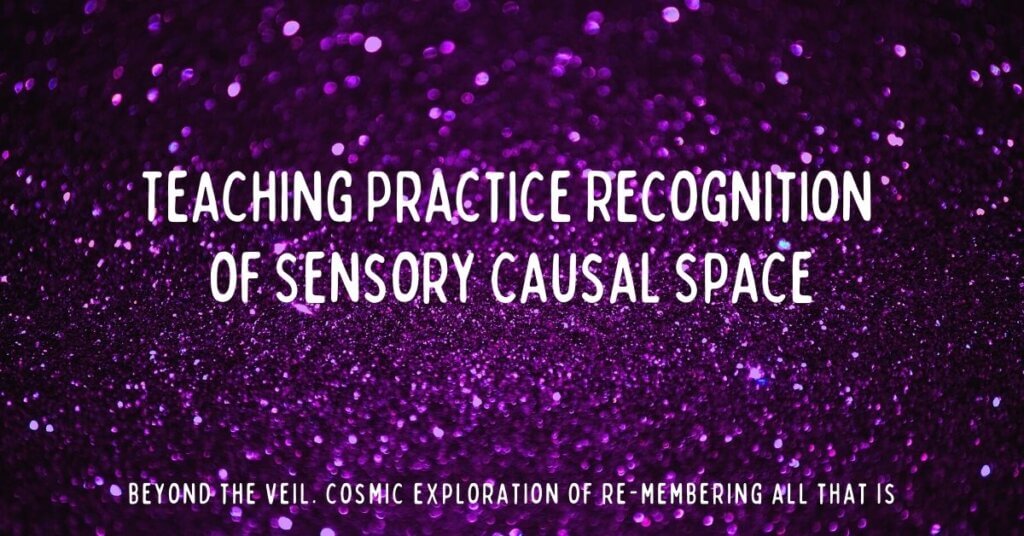 5. Recognition of Sensory Causal Space