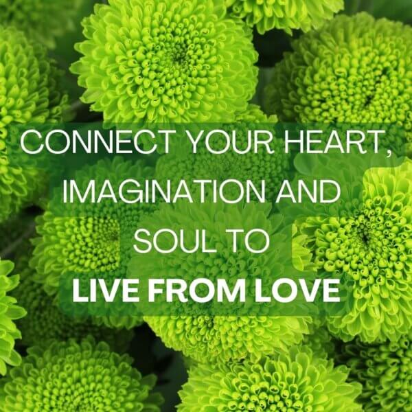 Awaken Your Inner Heart. The Art of Living Your Love Fully
