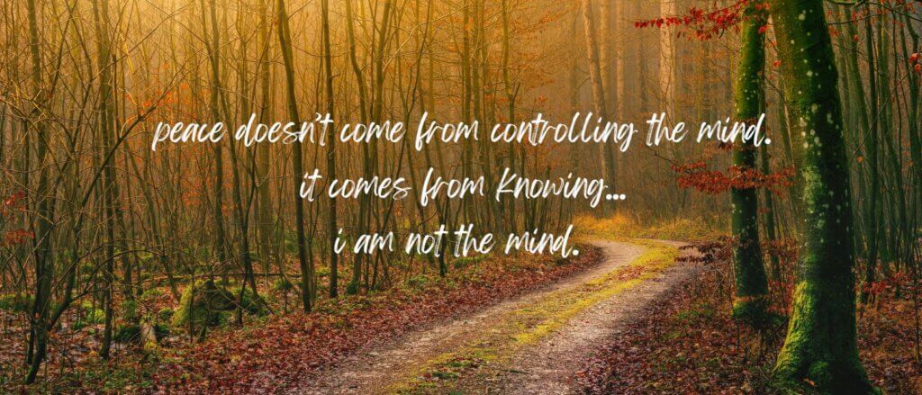 Layer One Who is the I Beyond Thought
